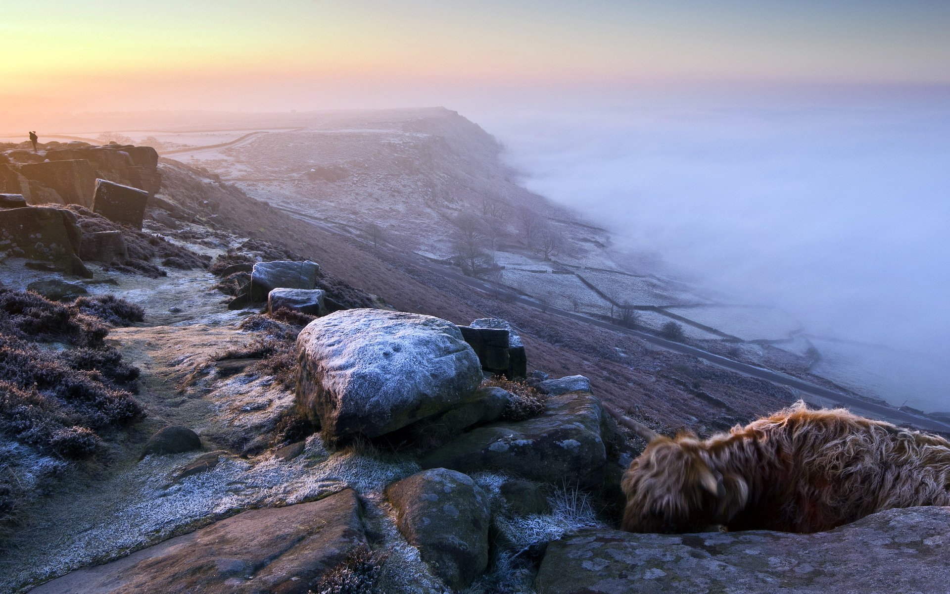 berg nebel landschaft