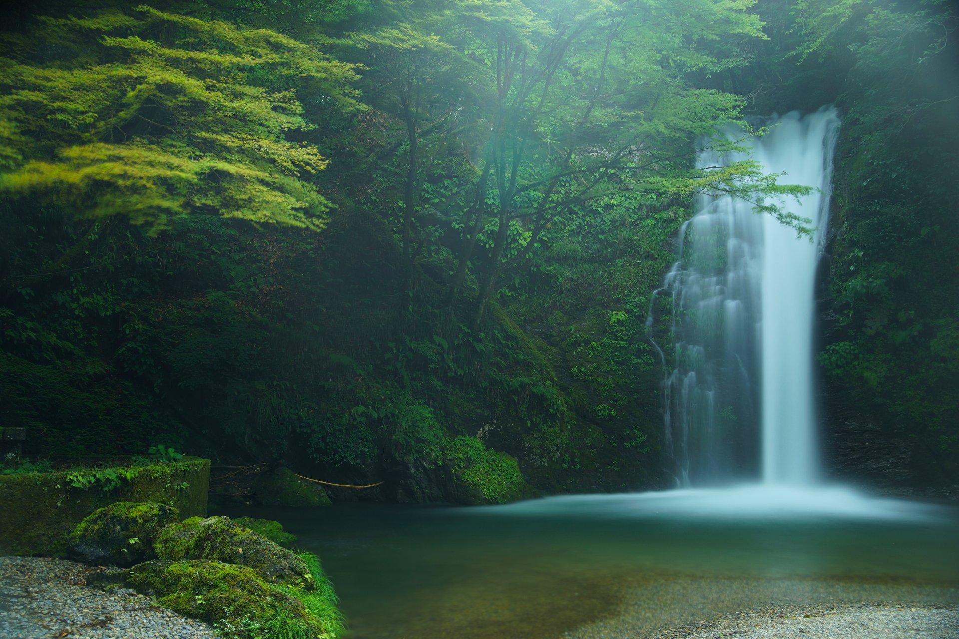 hiraito falls fujinomiya giappone shiraito falls cascata foresta alberi