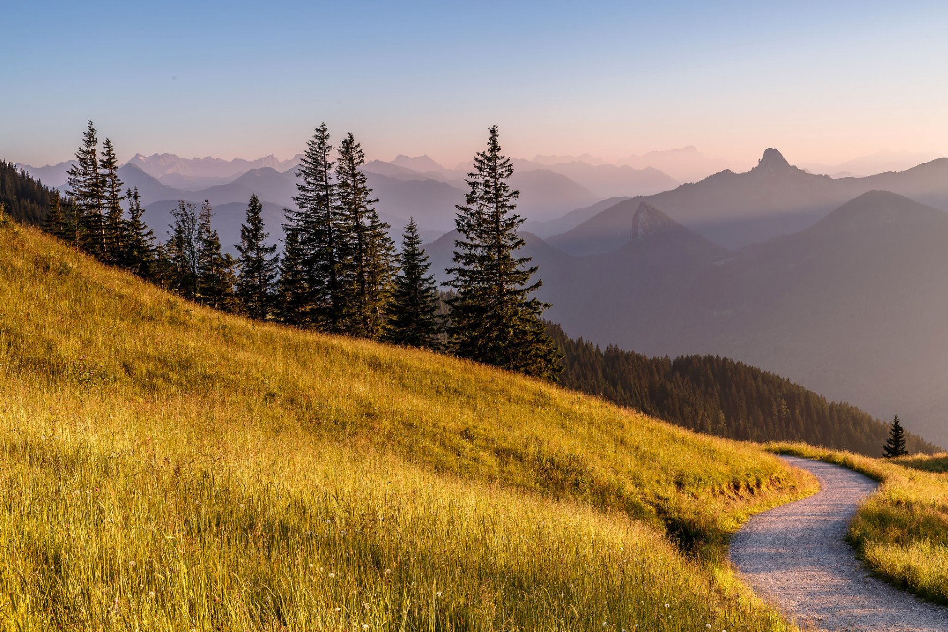 bayern deutschland berge alpen straße gras wiese bäume