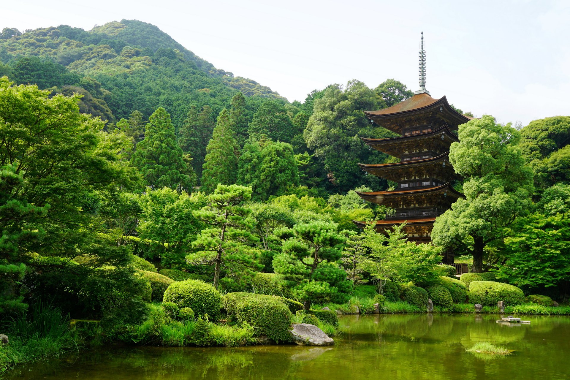 japon yamaguchi parc étang verdure nature