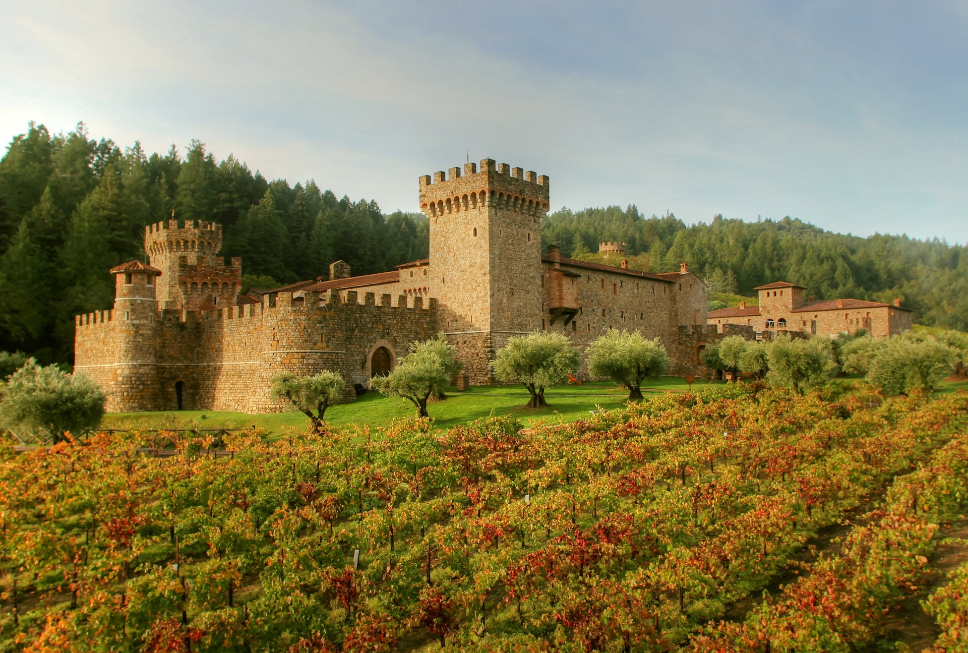 italia castello di amorosa toscana castillo fortaleza bosque campo plantación hierba árboles