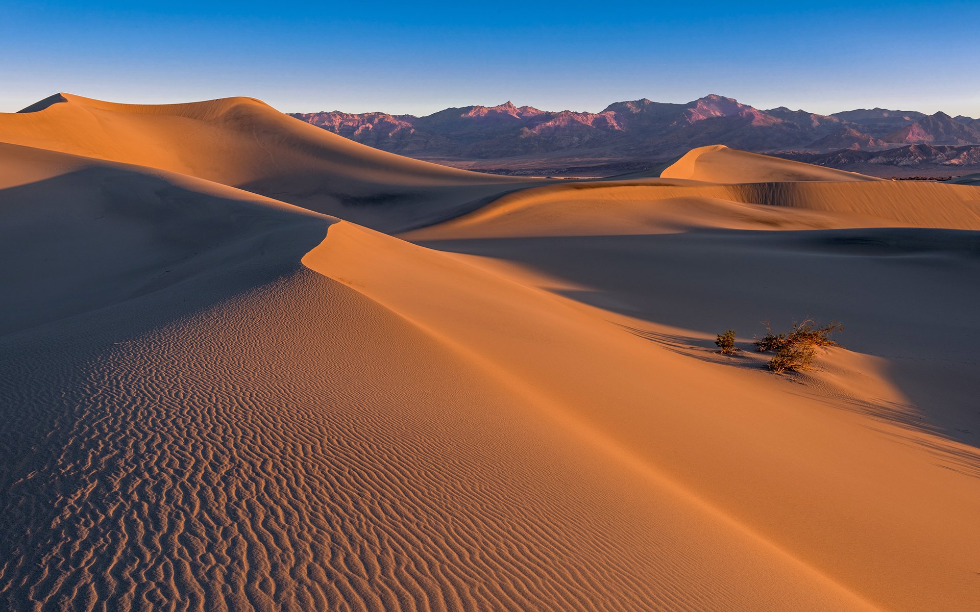 dunas de mezquite valle de la muerte arena desierto