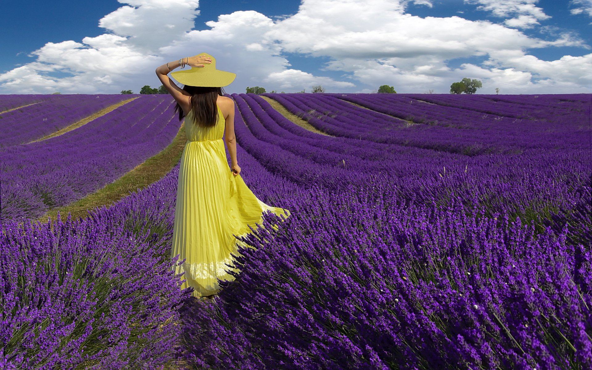 lavanda estate campo ragazza