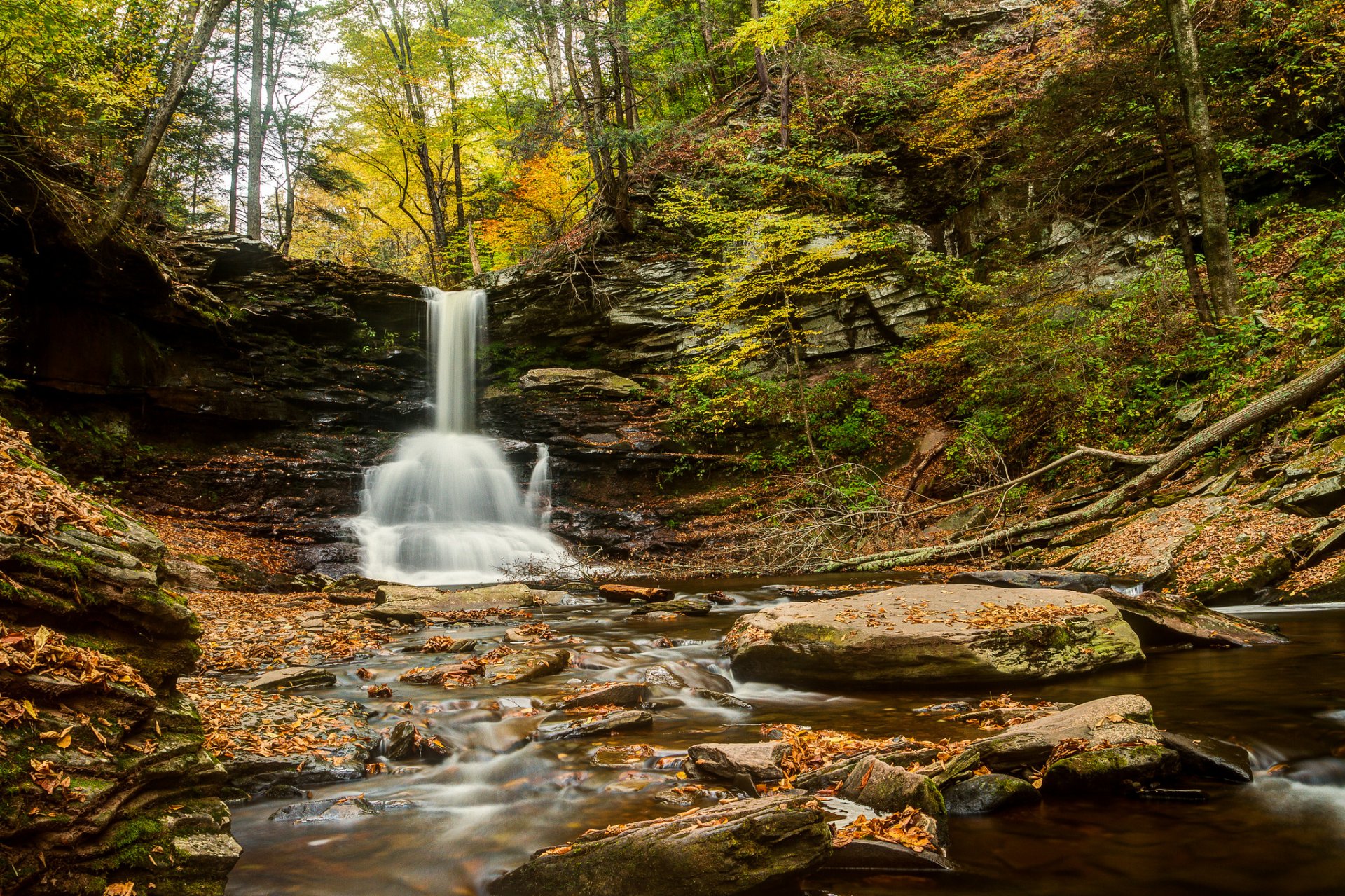 heldon reynolds falls ricketts glen state park pennsylvania waterfall river forest autumn stone