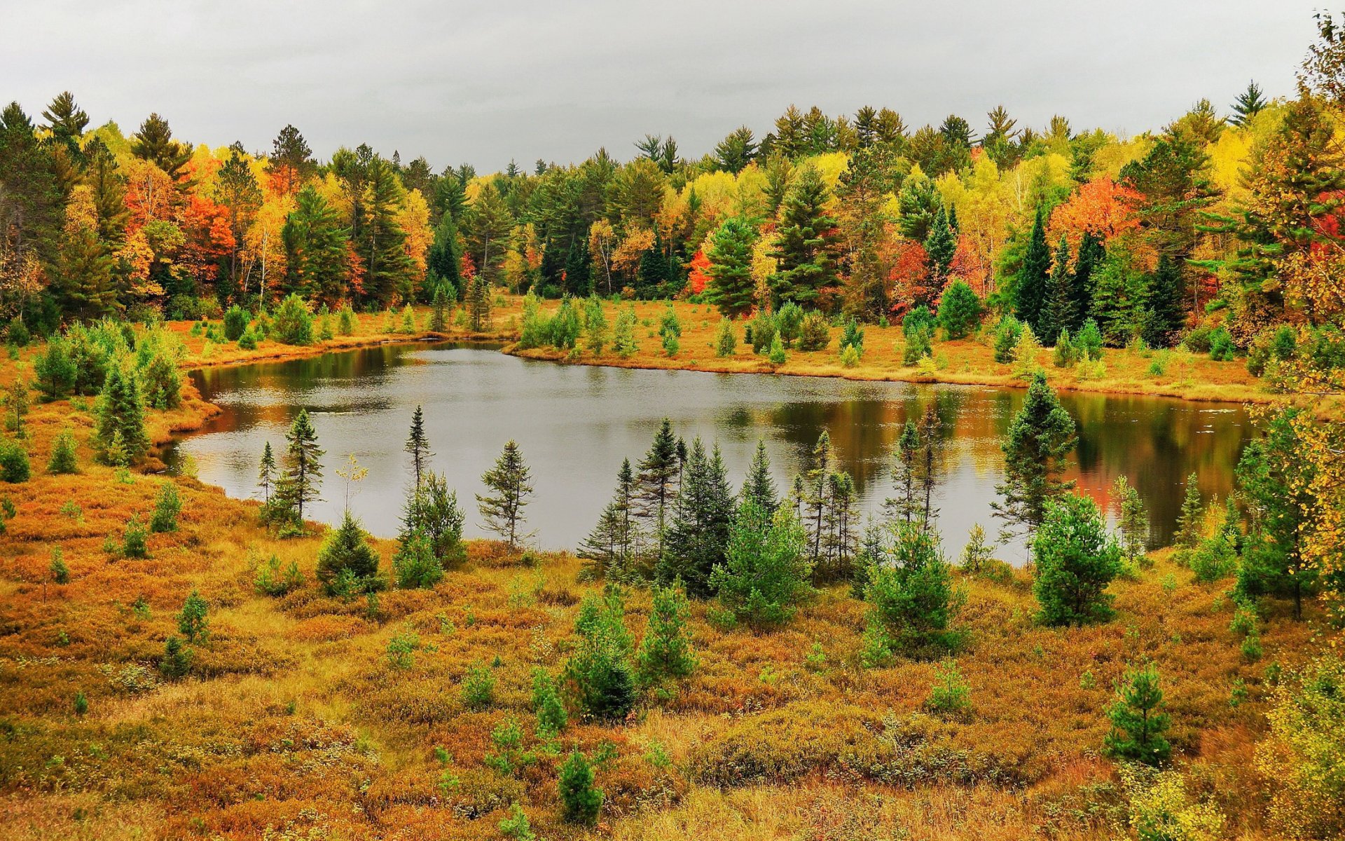 otoño lago bosque naturaleza foto