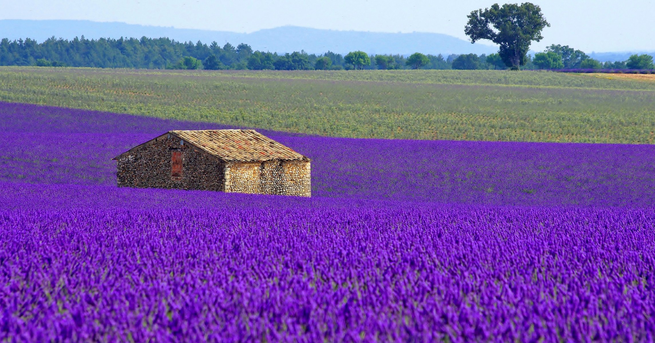 Франция замки виноградники Лавандовые поля