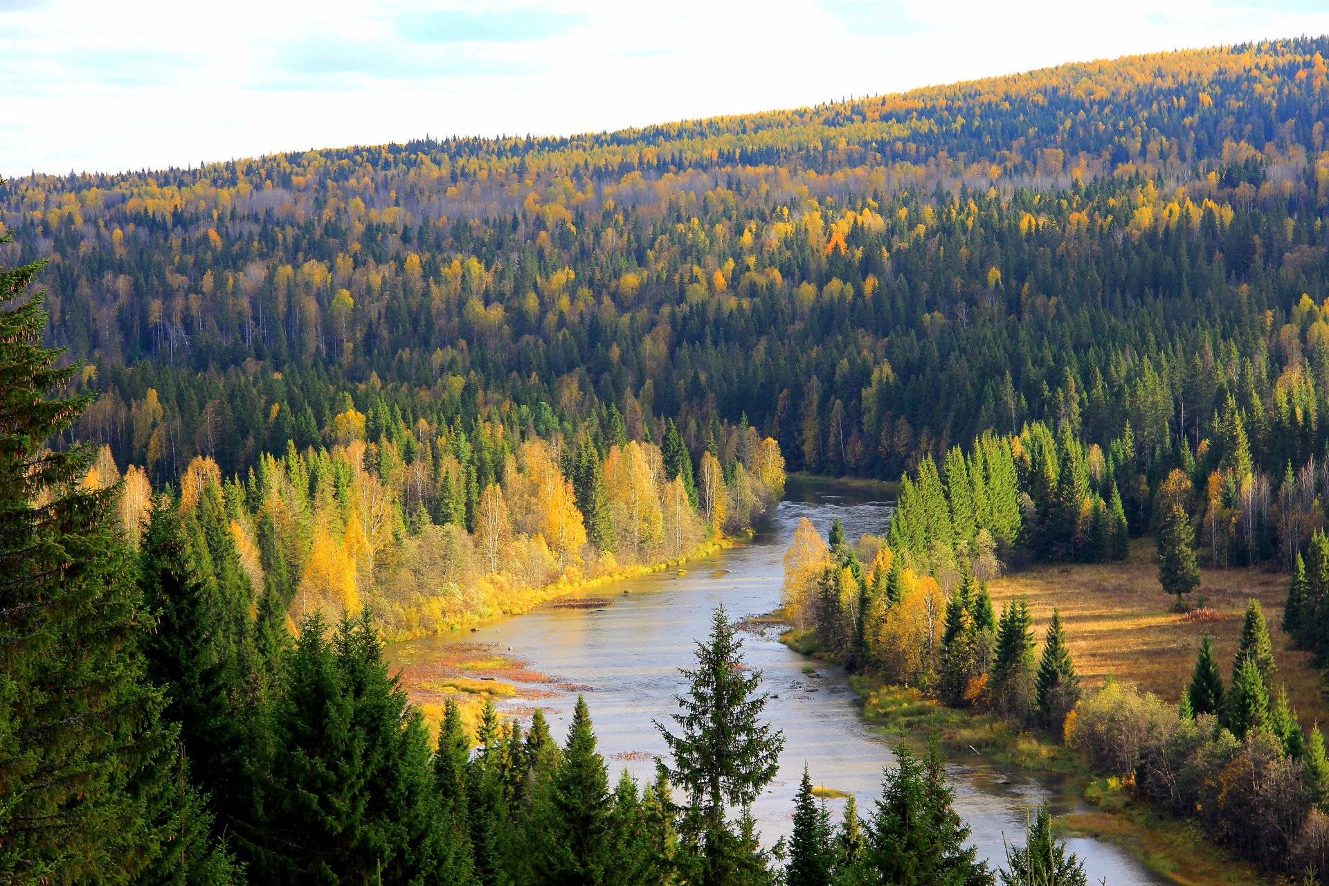 russia forest river tree perm region koiva