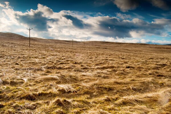 Feld während der Heuernte