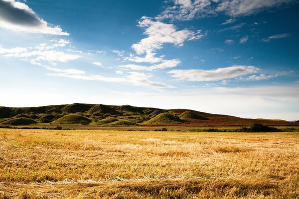 Paysage naturel avec des collines