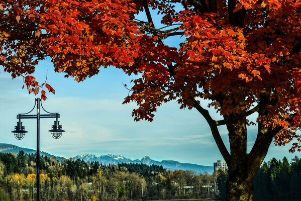 Art image of beautiful nature in autumn