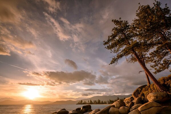 Rocky lake shore with trees at sunset