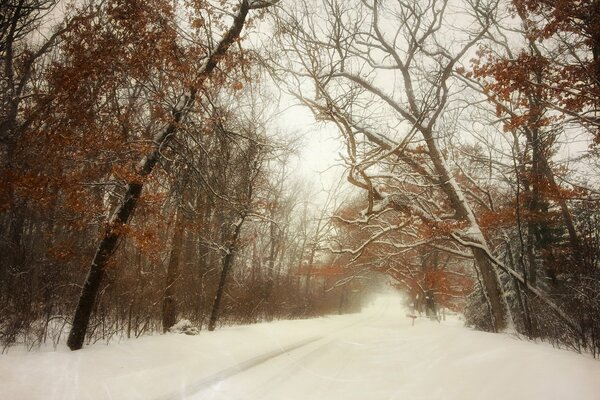 Winter is wonderful snowy weather