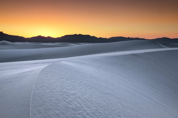 Desert at evening sunset