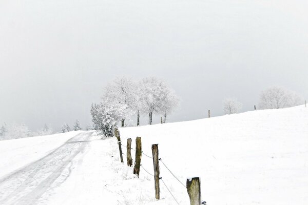 Strada innevata al recinto