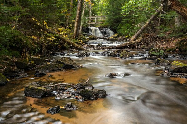 Река и водопад в лесу