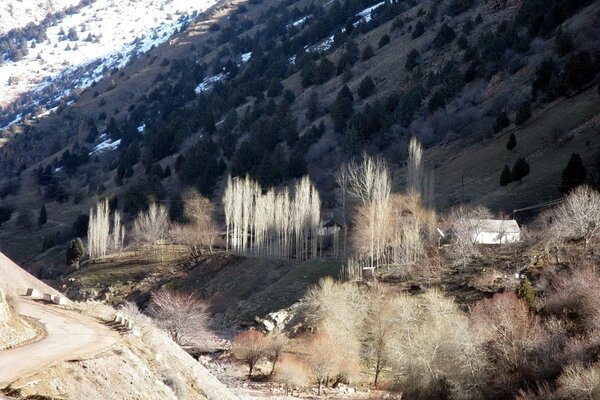 Snowy valley with a river in the mountains