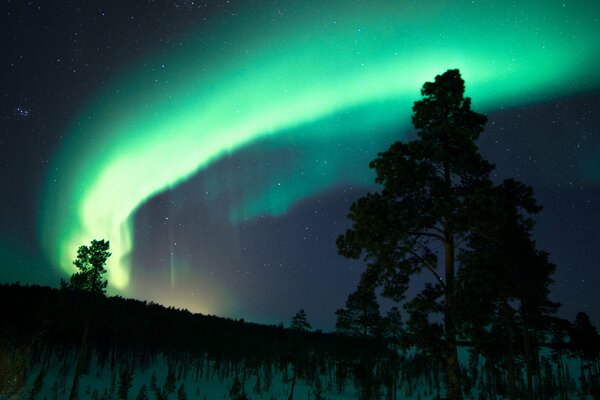 Aurores boréales dans le ciel nocturne