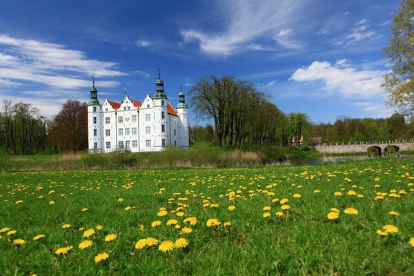 Eine schöne Wiese im Hintergrund, die eine große weiße Burg darstellt