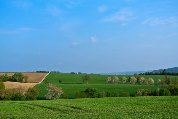 Klarer Himmel im Feld des Dorfes