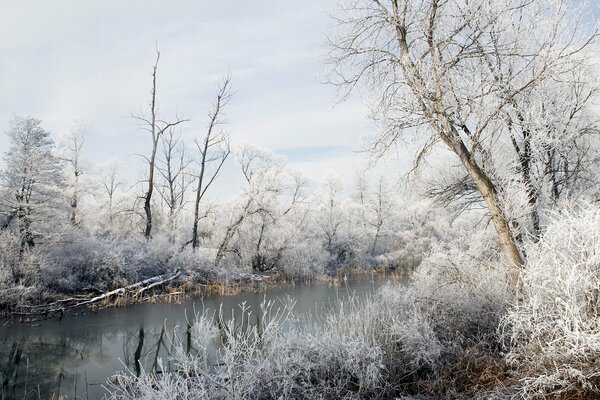 Schöne Landschaft. Winter Fluss