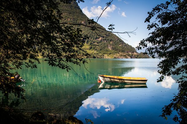 Among the trees you can see a high mountain and a lake in which a boat