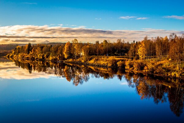 Sur le lac, vous pouvez voir le reflet de la forêt