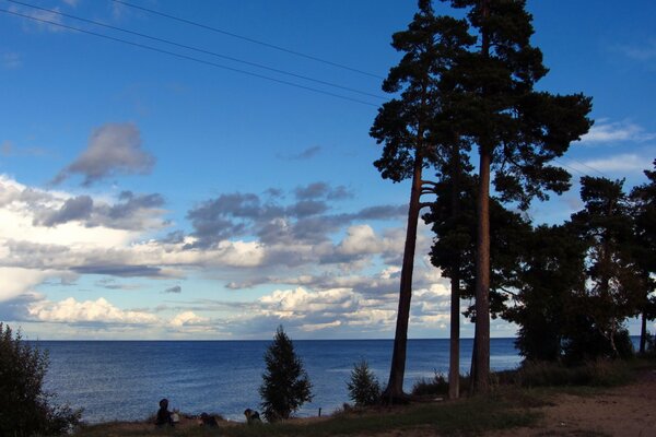 Coast with pine trees in Russia Ladoga Lake