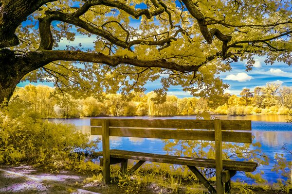 Autunno nel parco sullo stagno