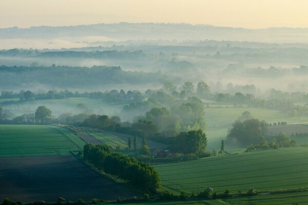 Nebel Morgen Hügel Feld