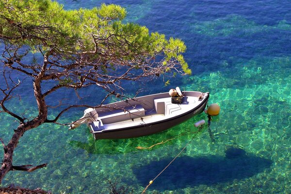 Boat in the bay on clear water