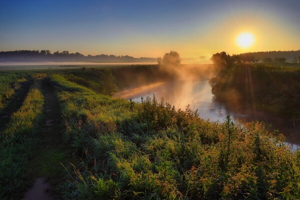 Nature of Ukraine with morning dawn and fog