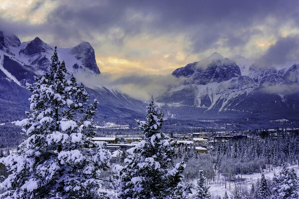 Parque nacional Banff en invierno. comer en la nieve