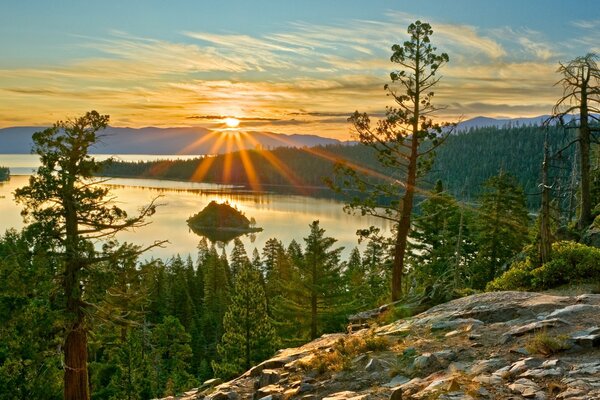 Lago, foresta, alberi, tramonto, raggi di sole