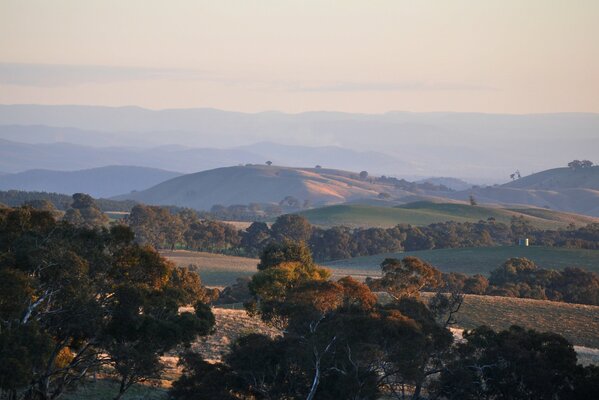 Evening sunset in Australia, autumn fog over the city