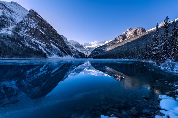 Lago canadiense en el bosque