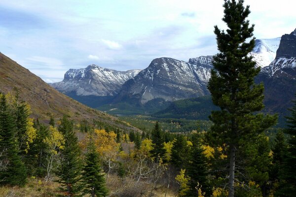 Hermoso bosque y grandes montañas