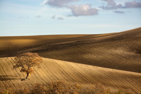 Colline italiane in montagna