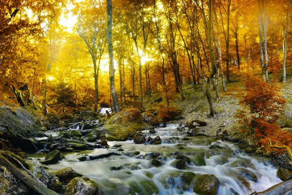 Paisaje de otoño en el bosque. Cascada y río