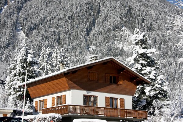 Haus auf dem Hintergrund der Winternatur