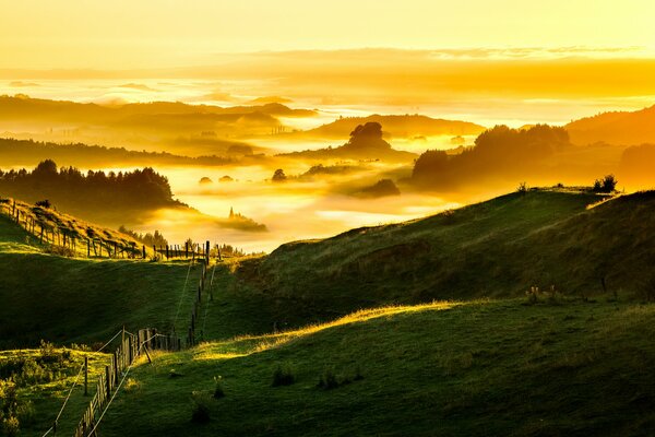 Sonnenaufgang im Nebel grüne Felder