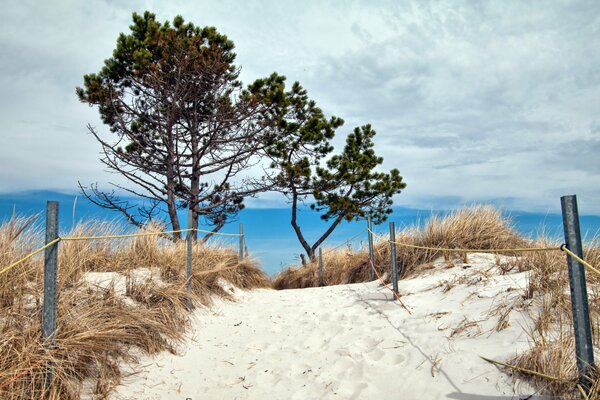 Belle plage tranquille dans les dunes