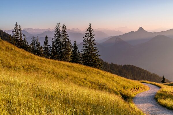 Bellissimo prato seguito da una fitta foresta e oltre le montagne