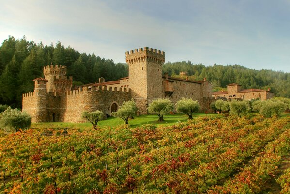 La fortaleza se alza entre plantaciones y bosques