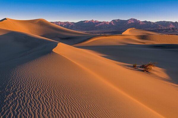 Dunas mesuit en el valle de la muerte