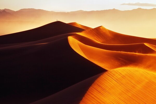 Desierto a la luz del sol