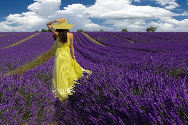 A girl in a yellow dress in a lavender field