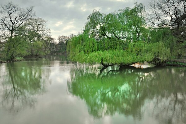 Wiosenne jezioro parkowe w Dreźnie