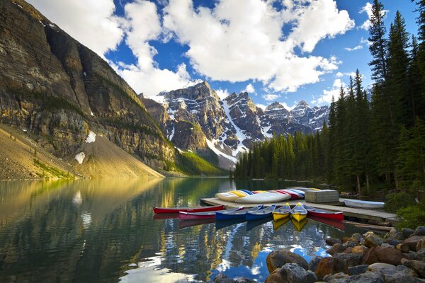 Lac parmi les montagnes et les arbres