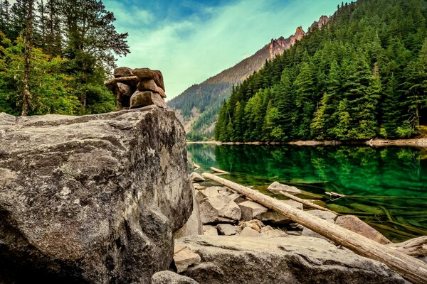 Fluss mit reflektierendem Nadelwald