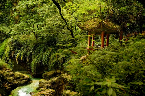 Gazebo nel Parco Nazionale di Emeishan